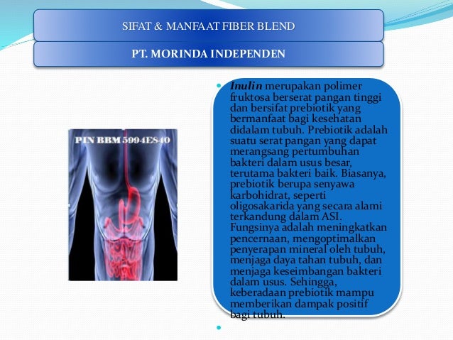 Diet Puasa Yang Benar - Apaskah Diet Puasa Yang Benar - Apaskah