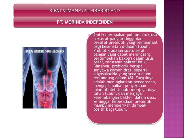 PIN BBM 5994E840 Diet Sehat Ibu Hamil Obesitas Diet