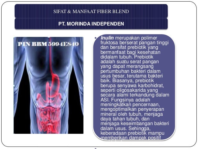 13new: Diet Sehat Cepat Tanpa Olahraga