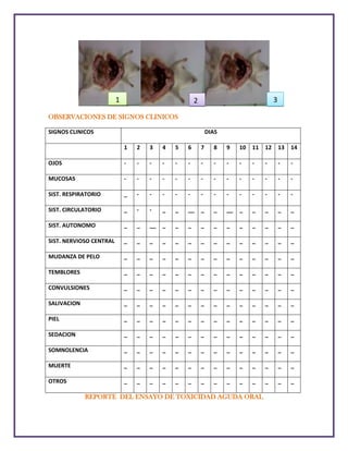 1

3

2

OBSERVACIONES DE SIGNOS CLINICOS
SIGNOS CLINICOS

DIAS
1

2

3

4

5

6

7

8

9

10

11

12

13

14

OJOS

-

-

-

-

-

-

-

-

-

-

-

-

-

-

MUCOSAS

-

-

-

-

-

-

-

-

-

-

-

-

-

-

SIST. RESPIRATORIO

_

-

-

-

-

-

-

-

-

-

-

-

-

-

SIST. CIRCULATORIO

_

-

-

_

_

__

_

_

__

_

_

_

_

_

SIST. AUTONOMO

_

_

__

_

_

_

_

_

_

_

_

_

_

_

SIST. NERVIOSO CENTRAL

_

_

_

_

_

_

_

_

_

_

_

_

_

_

MUDANZA DE PELO

_

_

_

_

_

_

_

_

_

_

_

_

_

_

TEMBLORES

_

_

_

_

_

_

_

_

_

_

_

_

_

_

CONVULSIONES

_

_

_

_

_

_

_

_

_

_

_

_

_

_

SALIVACION

_

_

_

_

_

_

_

_

_

_

_

_

_

_

PIEL

_

_

_

_

_

_

_

_

_

_

_

_

_

_

SEDACION

_

_

_

_

_

_

_

_

_

_

_

_

_

_

SOMNOLENCIA

_

_

_

_

_

_

_

_

_

_

_

_

_

_

MUERTE

_

_

_

_

_

_

_

_

_

_

_

_

_

_

OTROS

_

_

_

_

_

_

_

_

_

_

_

_

_

_

REPORTE DEL ENSAYO DE TOXICIDAD AGUDA ORAL

 