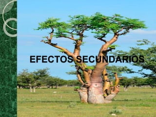 EFECTOS SECUNDARIOS
 