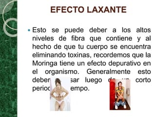 EFECTO LAXANTE
 Esto se puede deber a los altos
niveles de fibra que contiene y al
hecho de que tu cuerpo se encuentra
eliminando toxinas, recordemos que la
Moringa tiene un efecto depurativo en
el organismo. Generalmente esto
debería pasar luego de un corto
periodo de tiempo.
 