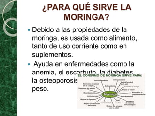 ¿PARA QUÉ SIRVE LA
MORINGA?
 Debido a las propiedades de la
moringa, es usada como alimento,
tanto de uso corriente como en
suplementos.
 Ayuda en enfermedades como la
anemia, el escorbuto, la diabetes,
la osteoporosis y para reducir el
peso.
 