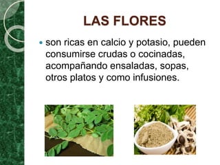 LAS FLORES
 son ricas en calcio y potasio, pueden
consumirse crudas o cocinadas,
acompañando ensaladas, sopas,
otros platos y como infusiones.
 