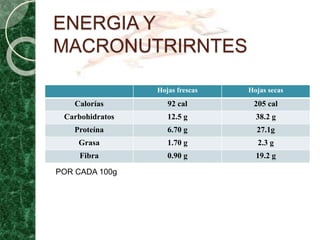 ENERGIA Y
MACRONUTRIRNTES
Hojas frescas Hojas secas
Calorías 92 cal 205 cal
Carbohidratos 12.5 g 38.2 g
Proteína 6.70 g 27.1g
Grasa 1.70 g 2.3 g
Fibra 0.90 g 19.2 g
POR CADA 100g
 