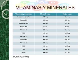 VITAMINAS Y MINERALES
Vitaminas y minerales Hojas frescas Hojas secas
Betacaroteno (Vit. A) 6.78 mg 18.9 mg
Tiamina(B1) 0.06 mg 2.64 mg
Riboflavina (B2) 0.05 mg 20.5 mg
Niacina (B3) 0.8 mg 8.2 mg
Vitamina C 220 mg 17.3 mg
Calcio 440 mg 2,003 mg
teno (Vit. A) 6.78 mg 18.9 mg
Tiamina(B1) 0.06 mg 2.64 mg
Vitamina C 220 mg 17.3 mg
Calcio 440 mg 2,003 mg
Cobre 0.07 mg 0.57 mg
Hierro 0.85 mg 28.2 mg
POR CADA 100g
 