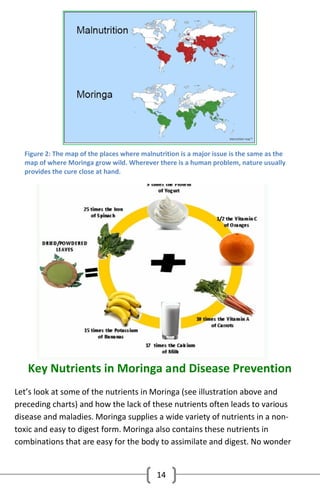 Figure 2: The map of the places where malnutrition is a major issue is the same as the
map of where Moringa grow wild. Wherever there is a human problem, nature usually
provides the cure close at hand.

Key Nutrients in Moringa and Disease Prevention
Let’s look at some of the nutrients in Moringa (see illustration above and
preceding charts) and how the lack of these nutrients often leads to various
disease and maladies. Moringa supplies a wide variety of nutrients in a nontoxic and easy to digest form. Moringa also contains these nutrients in
combinations that are easy for the body to assimilate and digest. No wonder

14

 