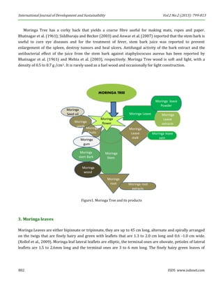 International Journal of Development and Sustainability Vol.2 No.2 (2013): 799-813 
802 ISDS www.isdsnet.com 
Moringa Tree has a corky back that yields a coarse fibre useful for making mats, ropes and paper. Bhatnagar et al. (1961); Siddhuraju and Becker (2003) and Anwar et al. (2007) reported that the stem bark is useful to cure eye diseases and for the treatment of fever, stem bark juice was reported to prevent enlargement of the spleen, destroy tumors and heal ulcers. Antifungal activity of the bark extract and the antibacterial effect of the juice from the stem bark against staphylococuss aureus has been reported by Bhatnagar et al. (1961) and Mehta et al. (2003), respectively. Moringa Tree wood is soft and light, with a density of 0.5 to 0.7 g /cm3 . It is rarely used as a fuel wood and occasionally for light construction. 
Figure1. Moringa Tree and its products 
3. Moringa leaves 
Moringa Leaves are either bipinnate or tripinnate, they are up to 45 cm long, alternate and spirally arranged on the twigs that are finely hairy and green with leaflets that are 1.3 to 2.0 cm long and 0.6 -1.0 cm wide. (Rollof et al., 2009). Moringa leaf lateral leaflets are elliptic, the terminal ones are obovate, petioles of lateral leaflets are 1.5 to 2.6mm long and the terminal ones are 3 to 6 mm long. The finely hairy green leaves of 
MORINGA TREEMoringagumMoringastem BarkMoringaLeaveMoringaLeave extractsMoringaleave PowderMoringaStemMoringawoodMoringaLeave stalkMoringarootMoringaroot extractsMoringaflowerMoringaFruitsMoringaseedsMoringaleave veinMoringaSeed oil  