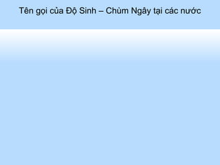 Oceania
Tên gọi của Độ Sinh – Chùm Ngây tại các nước
Fiji: Sajina
Guam: Katdes
Palau: Malungkai

 
