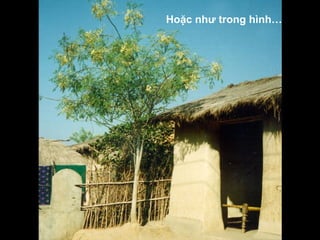 Hoặc như trong hình…

 