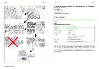page 18 page 19 
To ensure top results and benefits, the following four steps are fundamental 
in moringa cultivation: 
• Site selection 
• Land preparation 
• Planting/sowing 
• Maintenance of the plantation 
1. Site selection 
Environmental requirements for the moringa plant are shown in the following 
table. 
Table 3 
Environmental requirements for moringa. 
Parameter Requirement/Range 
Climate Tropical or sub-tropical 
Altitude/Height 0-2000 meters 
Temperature 25-35°C 
Rainfall 250mm-2000mm. 
Irrigation needed for leaf production 
if rainfall < 800mm 
Soil Type Loamy, sandy or sandy-loam 
Soil pH Slightly acidic to slightly alkaline (pH 5-9) 
Choose an area where the soil is well drained. This helps to evacuate excess water 
from the soil and allows a free exchange of gasses between the atmosphere and soil 
particles. Avoid clay soils that become sticky when wet and very hard when dry. Avoid 
termite-infested soils as much as possible. It should be an open area to receive full sun-light. 
The site must be protected from free roaming animals by an adequate natural 
or artificial fence. 
Growing moringa leaves. 
cultivation cultivation 
 