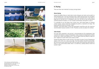 page 40 page 41
4. Drying
There are three main methods for drying moringa leaves.
Room drying
Spread the leaflets thinly on mesh tied on racks (mosquito net mesh can be used) in a
well-ventilated room. This room should be insect, rodent and dust proof. Air circulation
can be improved by using ceiling and floor level vents protected with a clean filter to
keep the sun and dust out. It is possible to use a fan, but the air must not be directly
oriented towards the leaves, as it can increase contamination with germs in the air.
It is advisable to turn the leaves over at least once, with sterile gloves, to improve
uniform drying. Leaves should be completely dry within a maximum of 4 days. The
loading density should not exceed 1 kg/m2
.
However, room-dried leaves cannot be guaranteed mould-free with the maximum
recommended moisture content of 10%. Therefore, we do not advise this method.
Solar drying
The solar dryer presented in the pictures is recommended but the polyethylene used
should be UV treated or opaque (if the plastic is black, beware of temperature increases
and be sure it does not go above 55°C). The air intake should be filtered to keep out
dust. Organza or muslin cloth can be used as a filter.
Spread the leaves thinly on mesh and dry in the dryer for about 4 hours (Temperature
range is 35°C–55°C on a very sunny day). The final product should be very brittle.
We recommend solar drying for both small and large scale processing, particularly for
those in rural communities where there is no electricity. Loading density should not
exceed 2 kg/m2
.
1 First draining in perforated buckets.
2 Second draining on racks made with net.
3 Leaflet density on a solar dryer.
4 Racks for drying leaves in Burkina Faso.
5 and 6 Solar dryer.
processing the leaves processing the leaves
1 	 2	
3	 4	
5	 6	
 