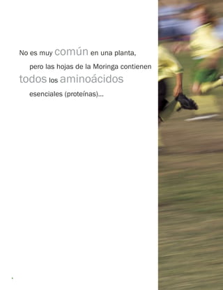 8 
No es muy común en una planta, 
pero las hojas de la Moringa contienen 
todos los aminoácidos 
esenciales (proteínas)...  