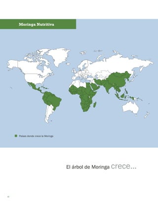 12 
Países donde crece la Moringa 
El árbol de Moringa crece… 
Moringa Nutritiva  