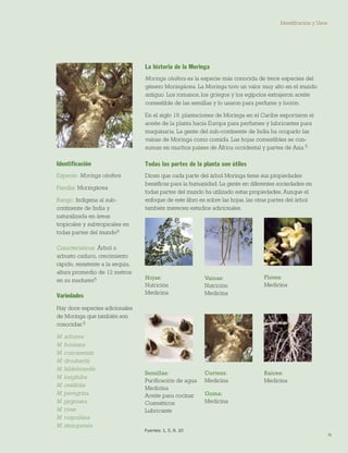 21 
La historia de la Moringa 
Moringa oleifera es la especie más conocida de trece especies del género Moringácea. La Moringa tuvo un valor muy alto en el mundo antiguo. Los romanos, los griegos y los egipcios extrajeron aceite comestible de las semillas y lo usaron para perfume y loción. 
En el siglo 19, plantaciones de Moringa en el Caribe exportaron el aceite de la planta hacia Europa para perfumes y lubricantes para maquinaria. La gente del sub-continente de India ha ocupado las vainas de Moringa como comida. Las hojas comestibles se consuman en muchos países de África occidental y partes de Asia.5 
Todas las partes de la planta son útiles 
Dicen que cada parte del árbol Moringa tiene sus propiedades benéfícas para la humanidad. La gente en diferentes sociedades en todas partes del mundo ha utilizado estas propiedades. Aunque el enfoque de este libro es sobre las hojas, las otras partes del árbol también merecen estudios adicionales. 
Hojas: 
Nutrición 
Medicina 
Semillas: 
Purificación de agua 
Medicina 
Aceite para cocinar 
Cosméticos 
Lubricante 
Corteza: Medicina 
Goma: Medicina 
Raíces: Medicina 
Flores: 
Medicina 
Vainas: 
Nutrición 
Medicina 
Fuentes: 1, 5, 9, 10 
Identificación 
Especie: Moringa oleifera 
Familia: Moringácea 
Rango: Indígena al sub- continente de India y naturalizada en áreas tropicales y subtropicales en todas partes del mundo9 
Características: Árbol o arbusto caduco, crecimiento rápido, resistente a la sequía, altura promedio de 12 metros en su madurez5 
Variedades 
Hay doce especies adicionales de Moringa que también son conocidas:5 
M. arborea 
M. borziana 
M. concanensis 
M. drouhardii 
M. hildebrandtii 
M. longituba 
M. ovalifolia 
M. peregrina 
M. pygmaea 
M. rivae 
M. ruspoliana 
M. stenopetala 
Identificación y Usos  