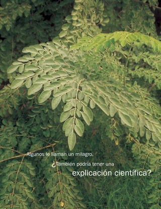 Algunos le llaman un milagro. 
¿También podría tener una 
explicación científica? 
2  