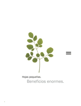 4 
Hojas pequeñas. 
Beneficios enormes. 
=  
