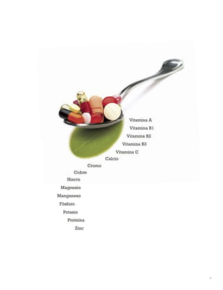 7 
Fósforo 
Vitamina B1 
Cromo 
Manganeso 
Potasio 
Hierro 
Proteína 
Vitamina C 
Cobre 
Vitamina B2 
Vitamina B3 
Zinc 
Magnesio 
Vitamina A 
Calcio  