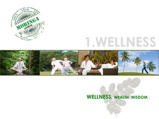 WELLNESS.  WEALTH .WISDOM . 1.WELLNESS 