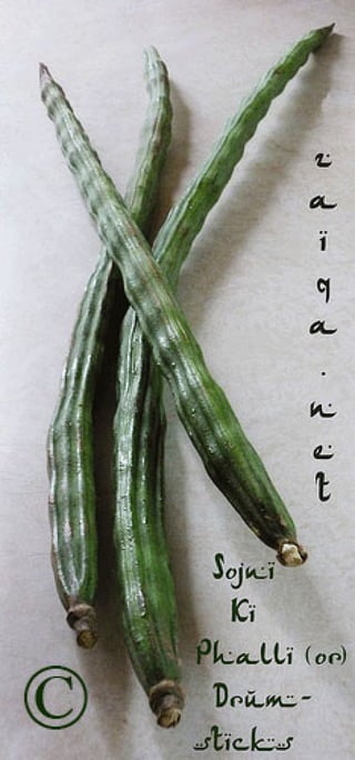 TREE MORINGA BENIFITS URDU