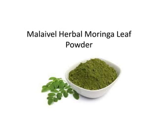 Malaivel Herbal Moringa Leaf
Powder
 