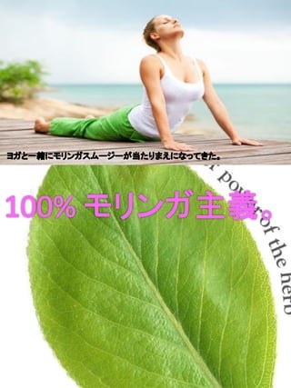 Moringa lifepowder brochures