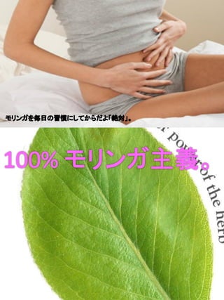 Moringa lifepowder brochures