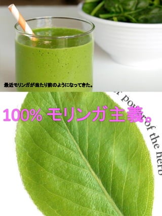 Moringa lifepowder brochures