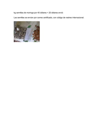 kg semillas de moringa por 45 dólares + 20 dólares envió
Las semillas se envían por correo certificado, con código de rastreo internacional.
 