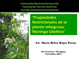 “Propiedades
Nutricionales de la
planta milagrosa:
Moringa Oleífera”
Lic. María Belén Rojas Pavón
San Lorenzo – Paraguay
Noviembre 2011
 