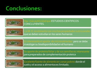 Propiedades nutricionales de la Moringa