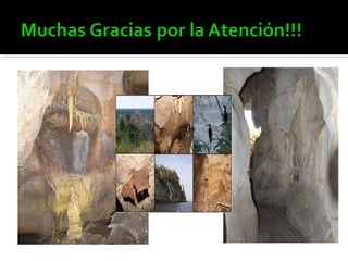 Propiedades nutricionales de la Moringa