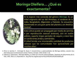 Es la especie más conocida del género Moringa. Es un
árbol originario del sur del Himalaya, el nordeste de la
India, Bangladesh, Afganistán y Pakistán. Se encuentra
diseminado en una gran parte del planeta y en América
Central1
.
1. Pérez A, Sanchez T, Armengol N, Reyes F. Características y potencialidades de Moringa oleifera, Lamark: Una
alternativa para la alimentación animal. Pastos y Forrajes. 2010 ;33 (4): 1-16.
2. Folkard G, Sutherland J. Moringa Oleifera, un árbol con enormes potencialidades. Depósitos de documentos de la
FAO, 1993 ; 8(3):1-5. Disponible en : ftp://ftp.fao.org/docrep/nonfao/LEAD/X6324S/X6324S00.pdf
Este cultivo puede ser propagado por medio de semillas
o por reproducción asexual (estacas), aún en suelos
pobres; soporta largos períodos de sequía y crece bien
en condiciones áridas y semiáridas.
El árbol brinda una innumerable cantidad de productos
valiosos que las comunidades han aprovechado por
muchos años2
.
 