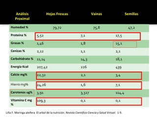 Análisis
Proximal
Hojas Frescas Vainas Semillas
Humedad % 79,72 75,8 47,2
Proteína % 5,52 7,1 17,5
Grasas % 1,46 1,8 15,1
Cenizas % 2,12 1,1 2,1
Carbohidrato % 11,14 14,3 18,1
Energía Kcal 207,42 226 439
Calcio mg% 22,32 2,1 3,4
Hierro mg% 24,26 1,6 7,1
Carotenos ug% 3,91 3,327 114,4
Vitamina C mg
%
109,3 0,1 0,1
Liña F. Moringa aleífera El arbol de la nutrición. Revista Cientifica Ciencia y Salud Virtual. 1-9.
 