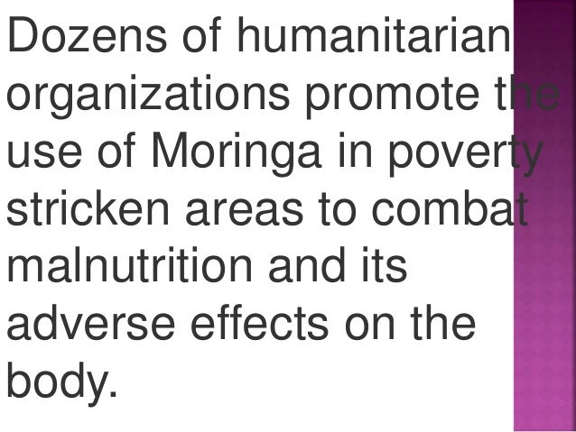 Moringa Ppt Moringa Oliefera