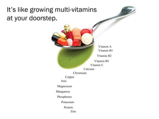 It’s like growing multi-vitamins
at your doorstep.


                                             Vitamin A
                                             Vitamin B1
                                            Vitamin B2
                                           Vitamin B3
                                        Vitamin C
                                   Calcium
                            Chromium
                       Copper
                    Iron
                 Magnesium
                 Manganese
                 Phosphorus
                    Potassium
                      Protein
                           Zinc
 