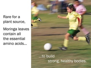 Rare for a
plant source,
Moringa leaves
contain all
the essential
amino acids…


                 ...to build
                        strong, healthy bodies.
 
