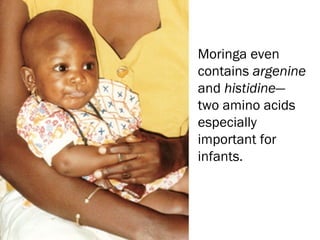 Moringa even
contains argenine
and histidine—
two amino acids
especially
important for
infants.
 