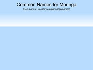 Common Names for Moringa
   Oceania
   Fiji: Sajina
  (See more at: treesforlife.org/moringa/names)
    Guam: Katdes
    Palau: Malungkai
 