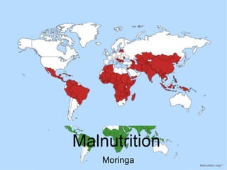Malnutrition
    Moringa    Malnutrition map13
 