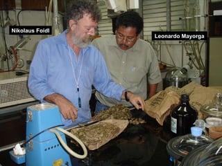 Nikolaus Foidl
                 Leonardo Mayorga
 