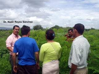 Dr. Nadir Reyes Sánchez
 