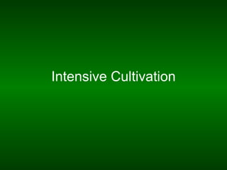 Intensive Cultivation
 