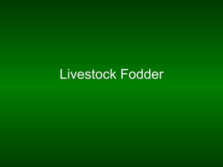 Livestock Fodder
 