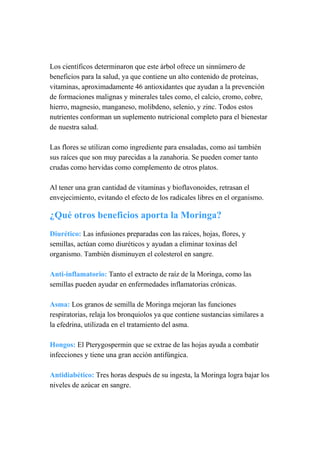 Los científicos determinaron que este árbol ofrece un sinnúmero de
beneficios para la salud, ya que contiene un alto contenido de proteínas,
vitaminas, aproximadamente 46 antioxidantes que ayudan a la prevención
de formaciones malignas y minerales tales como, el calcio, cromo, cobre,
hierro, magnesio, manganeso, molibdeno, selenio, y zinc. Todos estos
nutrientes conforman un suplemento nutricional completo para el bienestar
de nuestra salud.
Las flores se utilizan como ingrediente para ensaladas, como así también
sus raíces que son muy parecidas a la zanahoria. Se pueden comer tanto
crudas como hervidas como complemento de otros platos.
Al tener una gran cantidad de vitaminas y bioflavonoides, retrasan el
envejecimiento, evitando el efecto de los radicales libres en el organismo.
¿Qué otros beneficios aporta la Moringa?
Diurético: Las infusiones preparadas con las raíces, hojas, flores, y
semillas, actúan como diuréticos y ayudan a eliminar toxinas del
organismo. También disminuyen el colesterol en sangre.
Anti-inflamatorio: Tanto el extracto de raíz de la Moringa, como las
semillas pueden ayudar en enfermedades inflamatorias crónicas.
Asma: Los granos de semilla de Moringa mejoran las funciones
respiratorias, relaja los bronquiolos ya que contiene sustancias similares a
la efedrina, utilizada en el tratamiento del asma.
Hongos: El Pterygospermin que se extrae de las hojas ayuda a combatir
infecciones y tiene una gran acción antifúngica.
Antidiabético: Tres horas después de su ingesta, la Moringa logra bajar los
niveles de azúcar en sangre.
 