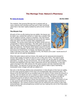 The Moringa Tree: Nature’s Pharmacy 
By Aisha El-Awady 
20/02/2003 
The resilient, fast growing Moringa tree is packed with so many vitamins and nutrients and has such a high nutritional value that it has been rightly dubbed by some as the miracle tree. 
The Miracle Tree 
All parts of this scruffy looking tree are edible; the leaves can be eaten raw, cooked like spinach or made into a powder that can be added to sauces, soups or chowders. The new leaves have a tendency to appear towards the end of the dry season when few other sources of green leafy vegetables are available. The young, green pods can be eaten whole and are comparable in taste to asparagus. The older pods can be used for their seeds, which can be prepared as peas or roasted and eaten like peanuts. The flowers which bloom around 8 months after the tree is planted, can be eaten fried and have the taste and texture of mushrooms. In Hawaii, the flowers are used to make a tea that cures colds. In addition to this, the flowers are a year- round source of nectar and can be used by beekeepers. 
When the pods mature and turn brown, the seeds can be removed and pressed to extract high quality oil similar to olive oil rich in oleic acid (73%). The mature seed contains about 40% oil. The oil, which is known as Ben oil, can be used for cooking, lubrication, in soaps, lamps and perfumes. The oil was highly valued by ancient Greeks, Romans and Egyptians and was used in perfumes and for skin protection; it was also used in Europe in the 19th century for the same purpose and was imported from the West Indies. The taproot of young trees can be used to make a spice resembling horseradish when vinegar and salt are added to it. 
Not only is the Moringa oleifera tree extraordinary in that all parts of the tree are edible, but the most amazing aspect of the tree is its exceptionally high nutritional value. The leaves of the Moringa tree are an excellent source of vitamin A (four times the amount in carrots), the raw leaves are rich in vitamin C (seven times the amount in oranges), and they are also a good source of vitamin B and other minerals. The leaves are also an outstanding source of calcium (four times the amount in milk), protein (twice the amount in milk), and potassium (three time the amount in bananas). The content of iron is very good as well and the leaves have purportedly been used for treating anemia in the Philippines. The content of amino acids such as methionine and cystine is also high. Carbohydrates, fats and phosphorous content are low making this one of the finest plant foods to be found. 
Moringa tree 22 
 