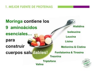 1. MEJOR FUENTE DE PROTEINAS



Moringa contiene los
                                                 Histidina
9 aminoácidos
                                          Isoleucina
esenciales…
                                         Leucina
para                                    Lisina

construir                            Metionina & Cistina

cuerpos saludables!             Fenilalanina & Tirosina
                             Treonina
                        Triptofano
                  Valina
 