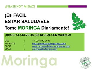 ¡UNASE HOY MISMO!

¡Es FACIL
ESTAR SALUDABLE
Tome MORINGA Diariamente!
¡UNASE A LA REVOLUCIÓN GLOBAL CON MORINGA!

CEL         :    +1-239-240-3930
WEBSITE     :    http://proyectomoringa.ning.com/
BLOG        :    www.moringaoleifera.wordpress.com
EMAIL       :    moringa@colombia.com




Moringa
 