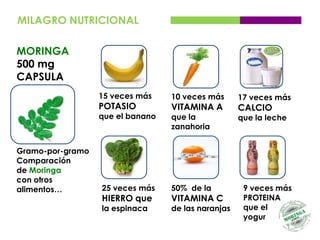 MILAGRO NUTRICIONAL

MORINGA
500 mg
CAPSULA
                  15 veces más    10 veces más      17 veces más
                  POTASIO         VITAMINA A        CALCIO
                  que el banano   que la            que la leche
                                  zanahoria


Gramo-por-gramo
Comparación
de Moringa
con otros
alimentos…        25 veces más    50% de la          9 veces más
                  HIERRO que      VITAMINA C         PROTEINA
                  la espinaca     de las naranjas    que el
                                                     yogur
 