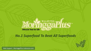 MoringgaPlus.com 
Miracle Tree for Life 
No.1 Superfood To Beat All Superfoods 
Web Support : MoringgaPlus-Indonesia.com 
 